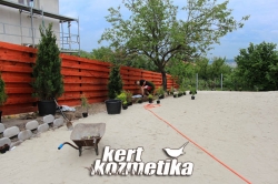 Növényültetés Budaörsön (12)